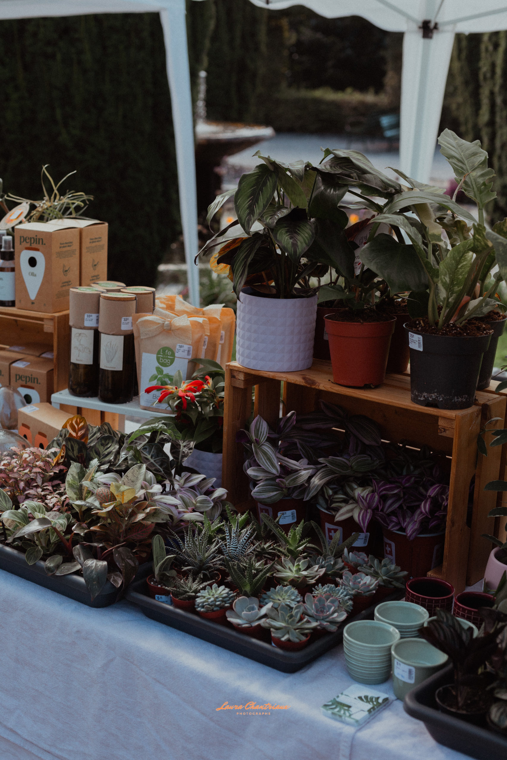 Marché automne 4